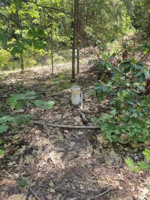 12 Ringtail, Georgetown, CA 95634 photo 7