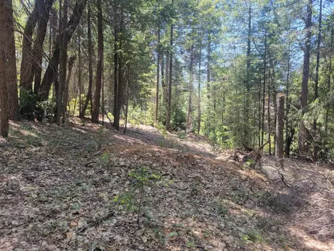 12 Ringtail, Georgetown, CA 95634 photo 10