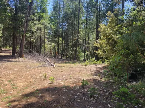 12 Ringtail, Georgetown, CA 95634 photo 15