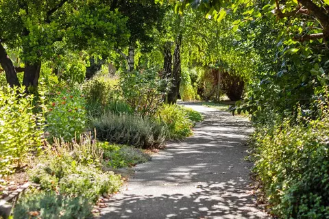Other - 2436 Rivendell Ln, Davis, CA 95616 photo 10 of 14