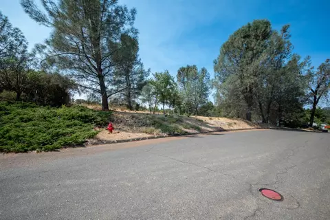 2995 Royce, Rescue, CA 95762 photo 13