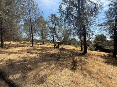 2995 Royce, Rescue, CA 95762 photo 3