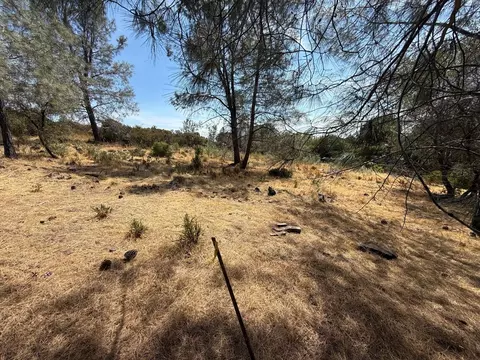 2995 Royce, Rescue, CA 95762 photo 8