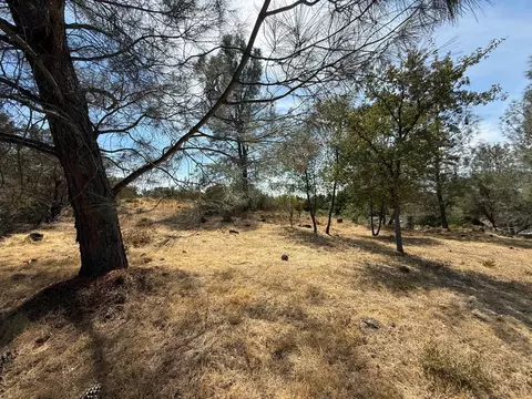 2989 Royce Dr, Rescue, CA 95762 photo 3