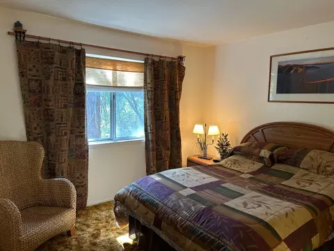 Bedroom - 5883 Black Quartz Rd, Murphys, CA 95247 photo 11 of 12