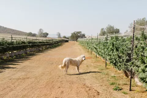 Undisclosed, Valley Springs, CA 95252