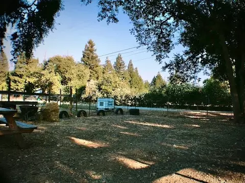 Exterior - 14031 Joy Dr, Galt, CA 95632 photo 10 of 19