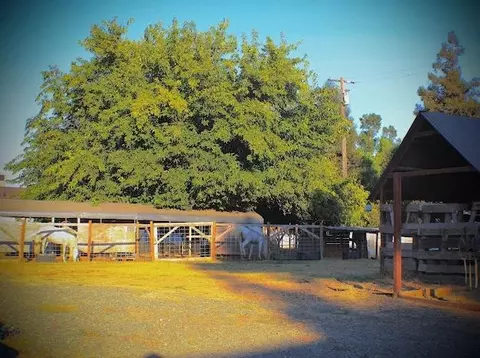 Exterior - 14031 Joy Dr, Galt, CA 95632 photo 5 of 19