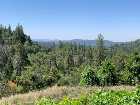 10 Meyers Rd, Camino, CA 95709