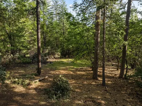 Exterior - 6221 Pine Needle Ln, Placerville, CA 95667 photo 4 of 8