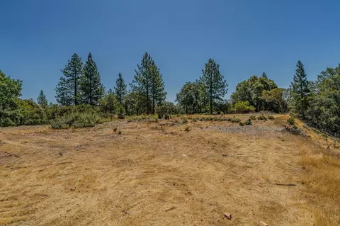20117 Neilson Rd, Pine Grove, CA 95665 photo 13