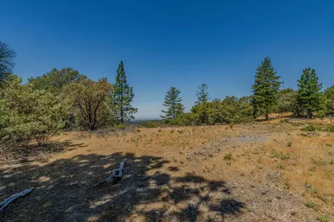 20117 Neilson Rd, Pine Grove, CA 95665 photo 10