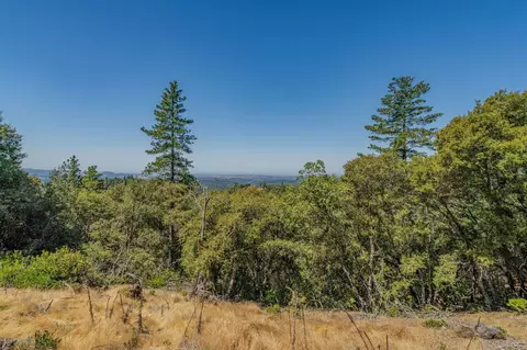 20117 Neilson Rd, Pine Grove, CA 95665 photo 30