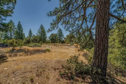 20117 Neilson Rd, Pine Grove, CA 95665 photo 15