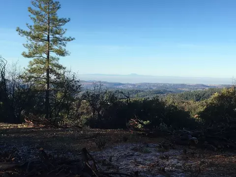 20117 Neilson Rd, Pine Grove, CA 95665 photo 5