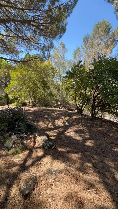 2990 Royce Dr, Rescue, CA 95672 photo 8