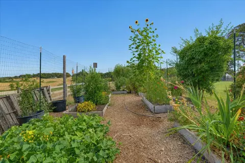 View/Area - 14680 Wolf Rd, Grass Valley, CA 95949 photo 2 of 3