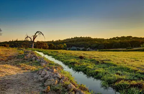 View/Area - 14680 Wolf Rd, Grass Valley, CA 95949 photo 1 of 3