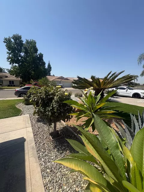Exterior - 3403 Todd St, Madera, CA 93637 photo 6 of 9