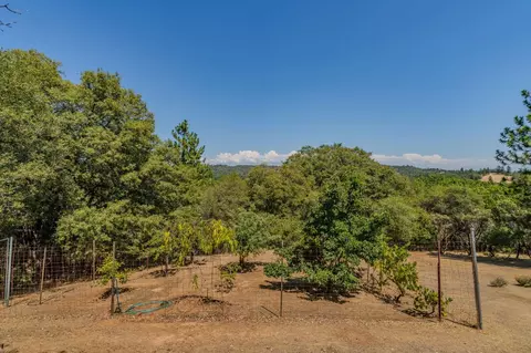 Exterior - 13090 Trent Way, Jackson, CA 95642 photo 13 of 29