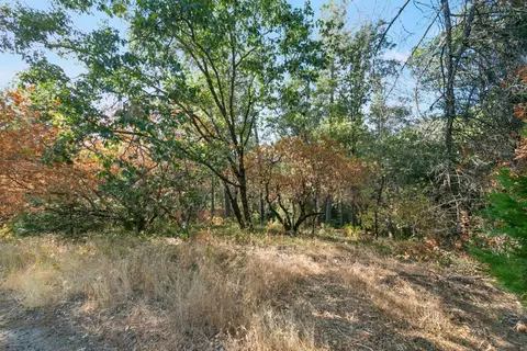0 Sly Park Rd, Placerville, CA 95667 photo 8