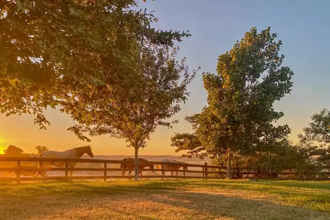 17164 Keyes Rd, Snelling, CA 95369 photo 2