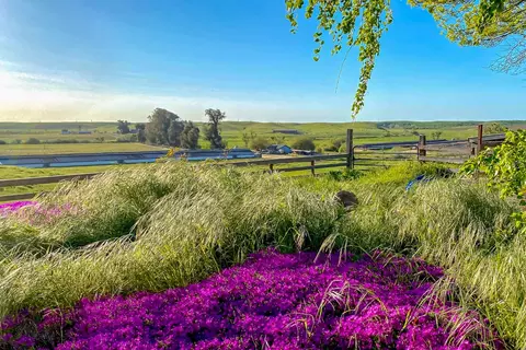 17164 Keyes Rd, Snelling, CA 95369 photo 3