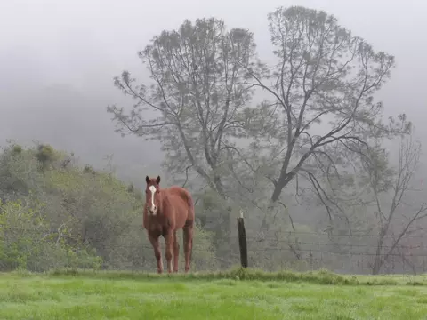 Other - 7357 Ridge Rd, Newcastle, CA 95658 photo 18 of 20