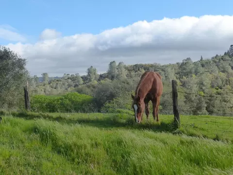 Other - 7357 Ridge Rd, Newcastle, CA 95658 photo 14 of 20