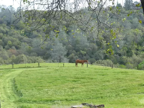 Other - 7357 Ridge Rd, Newcastle, CA 95658 photo 15 of 20