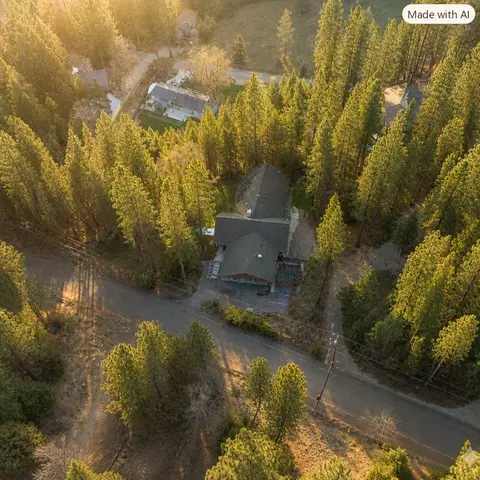 View/Area - 1343 Oak Cir, Arnold, CA 95223 photo 1 of 1