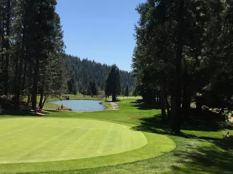 View/Area - 2381 Moran Rd, Arnold, CA 95223 photo 6 of 7