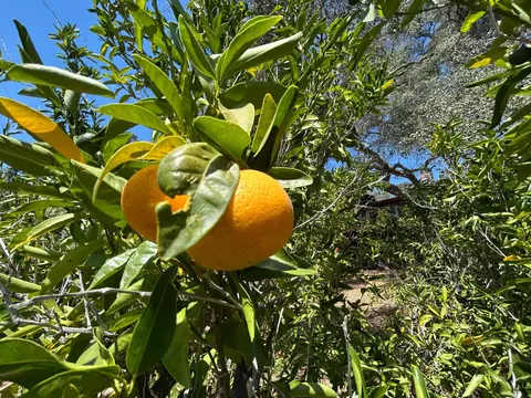 Other - 3952 Rustic Rd, Cameron Park, CA 95682 photo 8 of 8