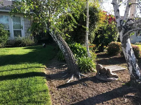 Exterior - 480 Cornell Dr, Turlock, CA 95382 photo 9 of 14