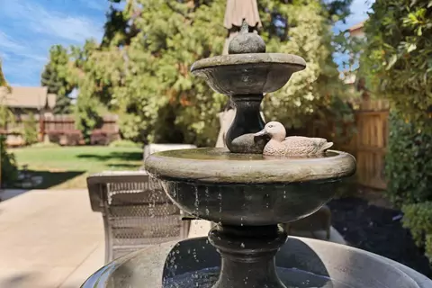 Exterior - 5262 Flor Ct, Linden, CA 95236 photo 8 of 18
