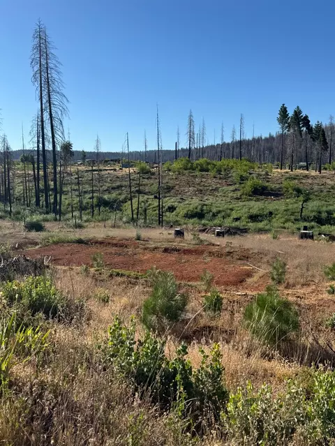 4491 String Canyon Rd, Grizzly Flats, CA 95636