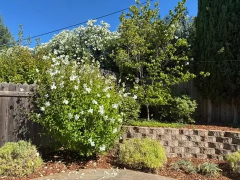 Exterior - 2563 Carla Dr, Placerville, CA 95667 photo 7 of 14