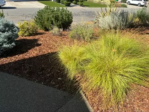 Exterior - 2563 Carla Dr, Placerville, CA 95667 photo 3 of 14