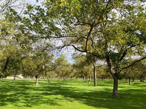 Other - 1252 Root Rd, Modesto, CA 95357 photo 1 of 12