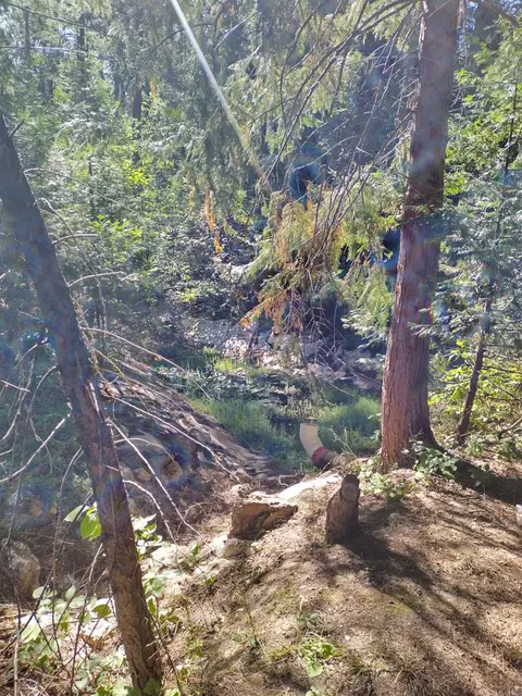 Other - 4940 Star Ln, Georgetown, CA 95634 photo 17 of 17
