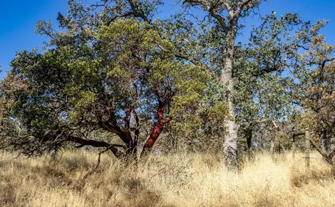 0 Old Mission Dr, Red Bluff, CA 96080 photo 24
