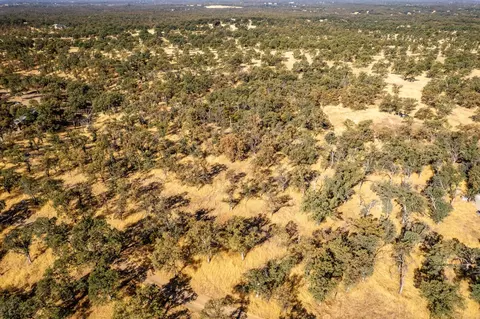 0 Old Mission Dr, Red Bluff, CA 96080 photo 16