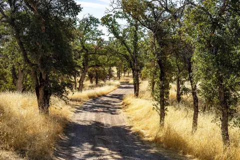 0 Old Mission Dr, Red Bluff, CA 96080 photo 26