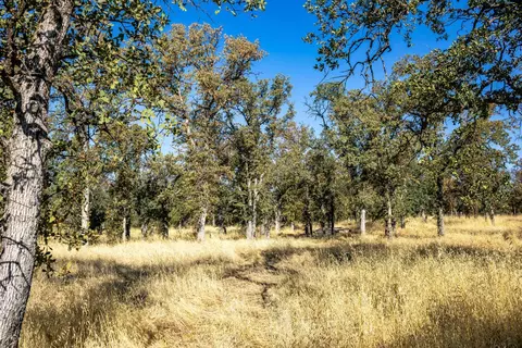 0 Old Mission Dr, Red Bluff, CA 96080 photo 23