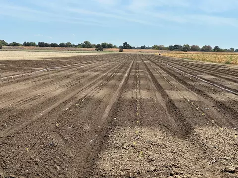 0 Old River Rd, West Sacramento, CA 95691
