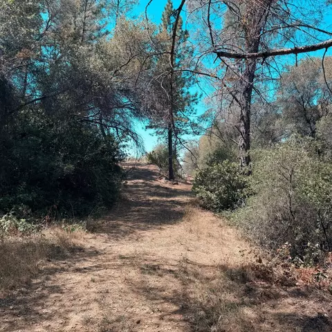 16115 Vierra Rd, Rackerby, CA 95972 photo 5