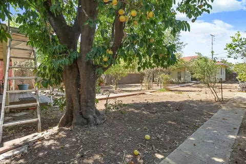 Exterior - 517 Daisy Ave, Lodi, CA 95240 photo 6 of 16
