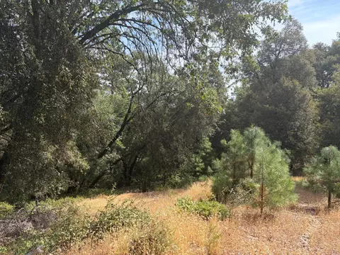 24800 N Canyon Way, Colfax, CA 95713 photo 4