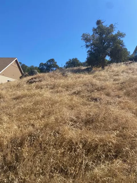 2335 Arrowhead St, Copperopolis, CA 95228 photo 5