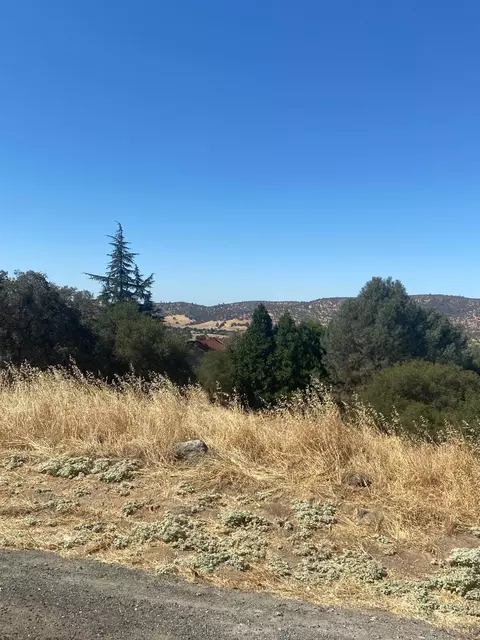 2335 Arrowhead St, Copperopolis, CA 95228 photo 3